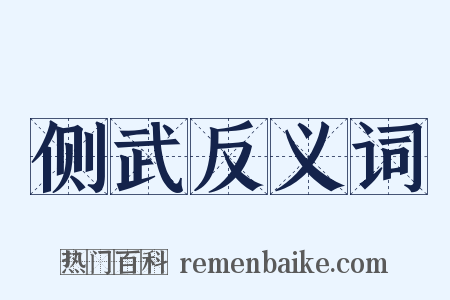 侧武反义词是什么意思的图片